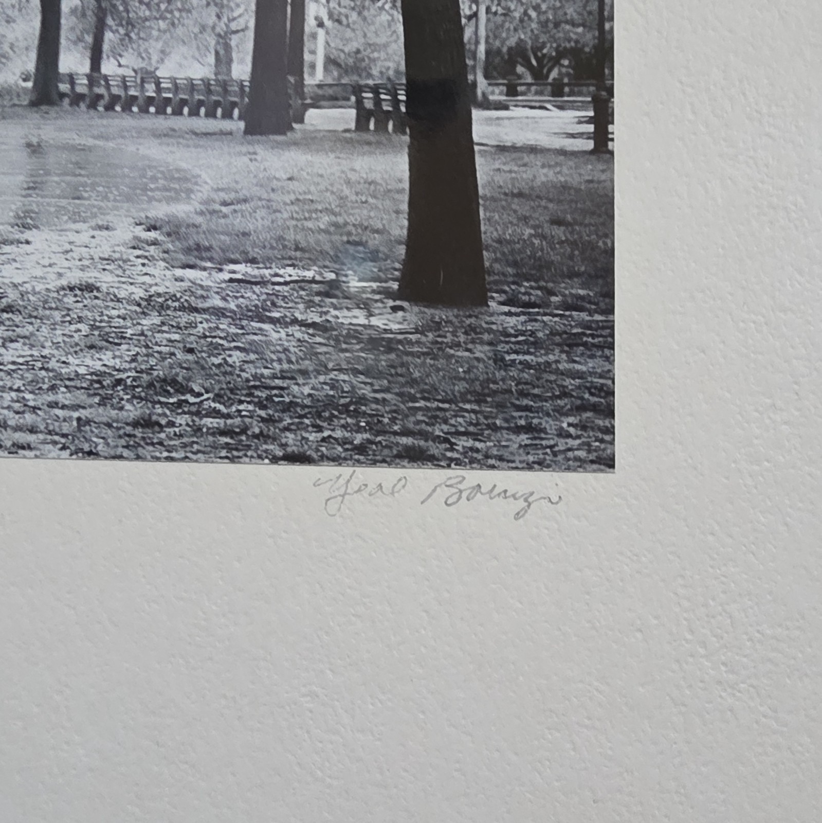The Photographer Has Passed”Rainy Morning in Central Park” Signed B&W Photo 1980
