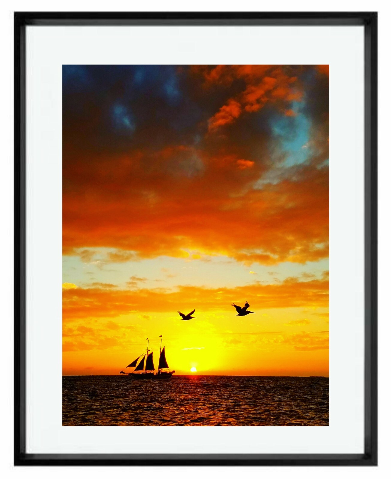 KEY WEST Sailboat 11×14 Art Photo Photograph Print Pelican Pair Couple Bird Sail