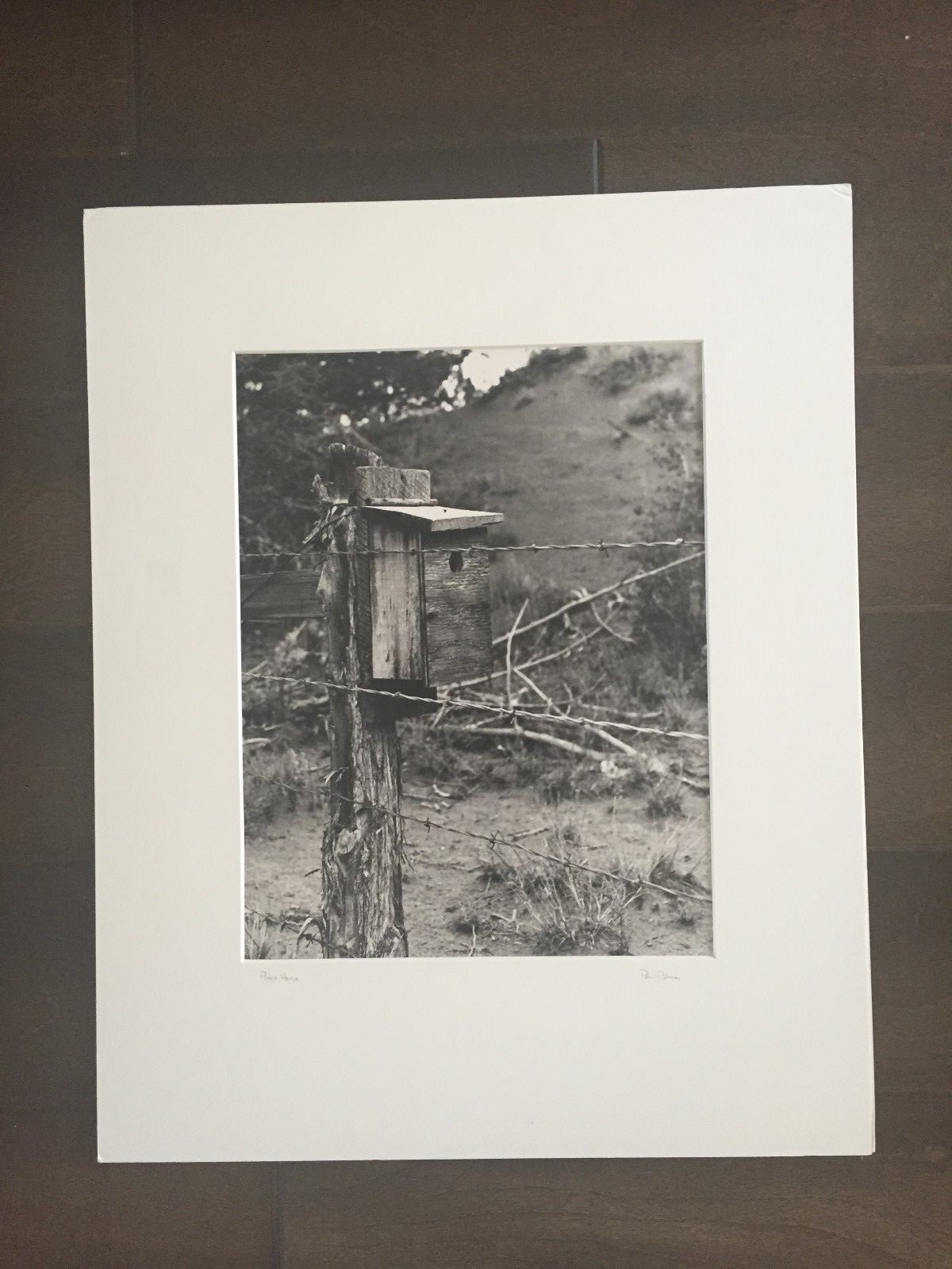 BRUCE BLUM SIGNED B&W Photo Print (10 “X 13”) “Birdhouse “