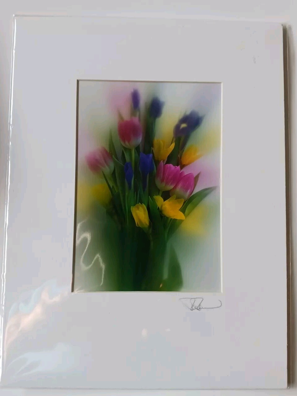 Iris Tulip Daffodil Signed Photo In Mat Soft Focus 12×9 Inches