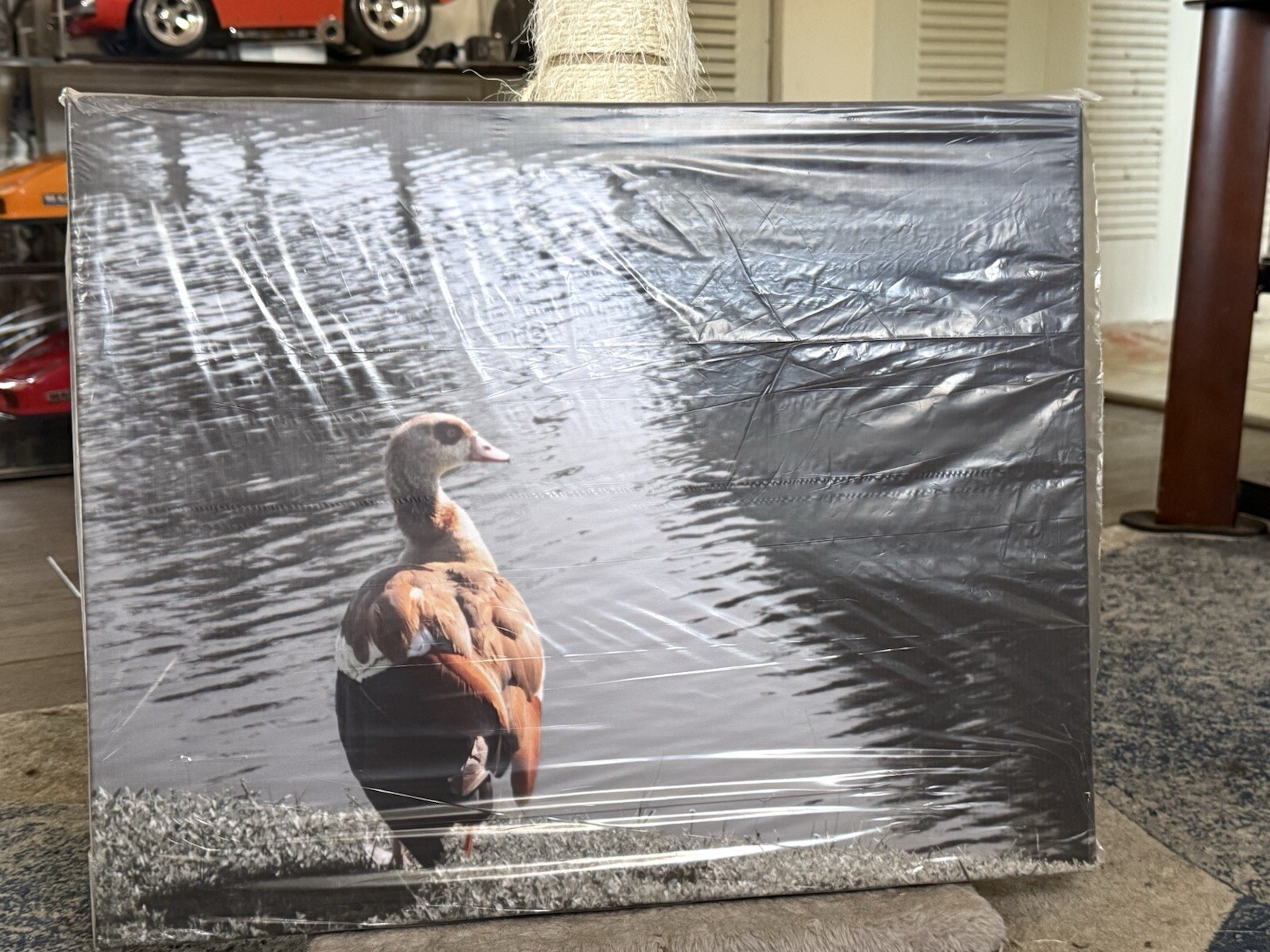 16×20 Canvas Photo Print