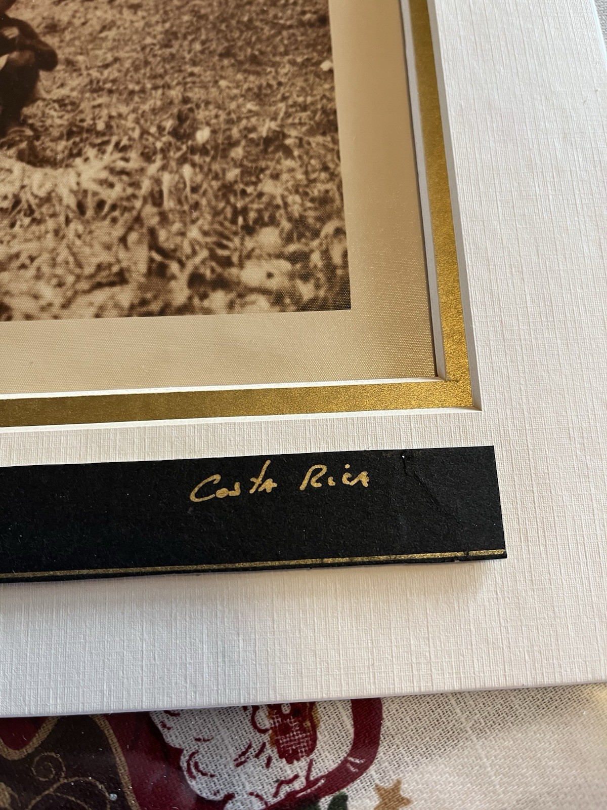 Rare- SAUL BOLANOS Photo. Cafegrafia (Coffee Grapgics) Costa Rica-Photographer