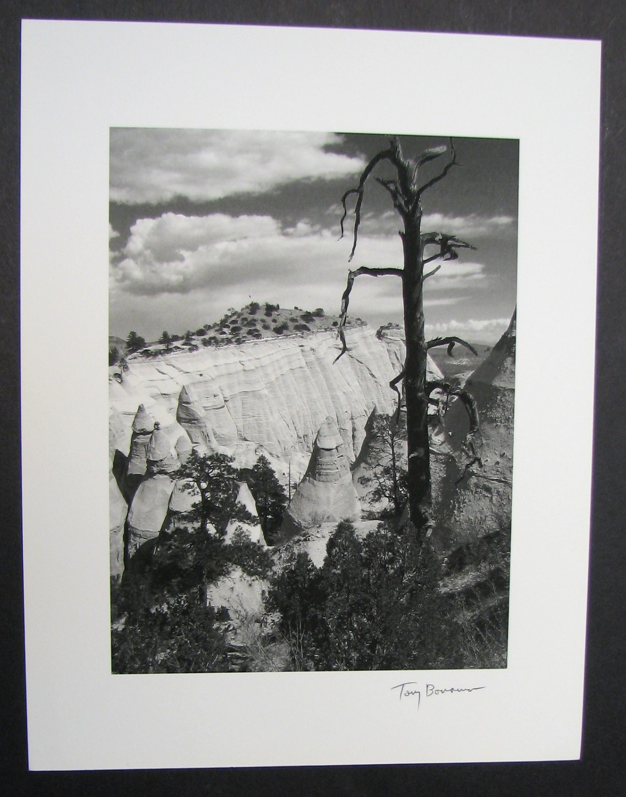 Tent Rocks in New Mexico – original SIGNED Photograph by Tony Bonanno