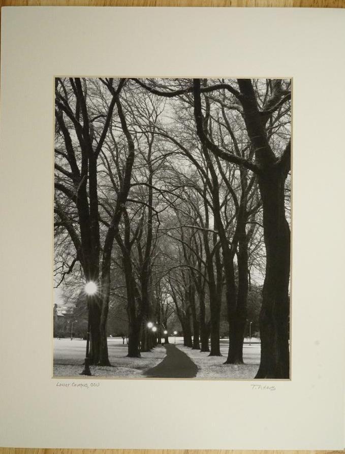 Tom Adams Photography OSU Oregon State University Lower Campus Matte Photo 11X14