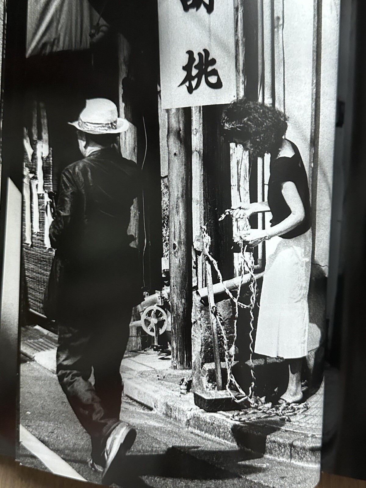 🎈MEGA RARE SIGNED! Daido Moriyama – Retrospective Since 1965, Limited Ed, Araki
