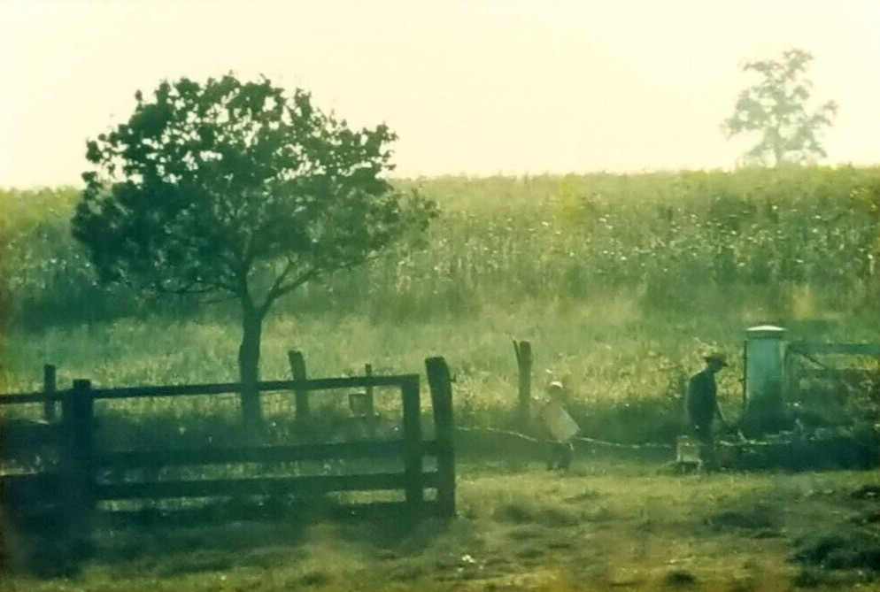 Photograph of farmer and son walking the fence line in front of corn field