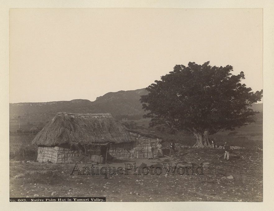 Yumuri Valley Cuba native hut antique albumen photo