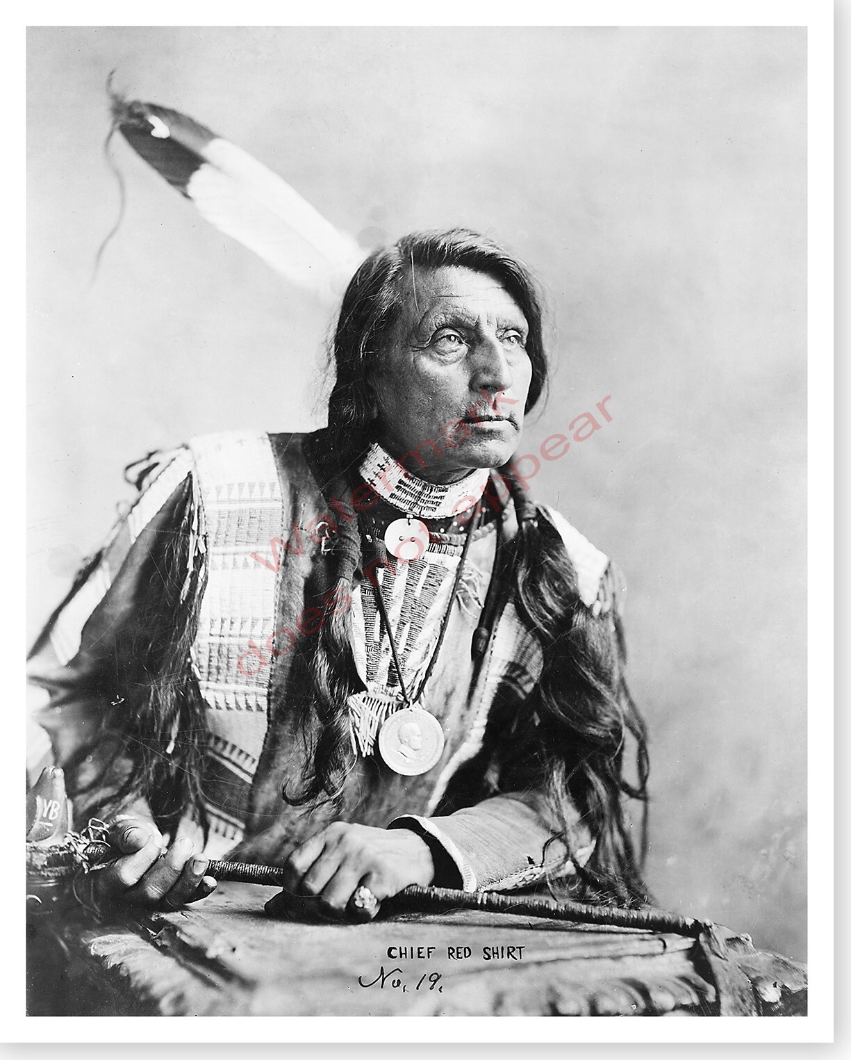 Chief Red Shirt Native American Oglala Lakota Indian Silver Halide Photo
