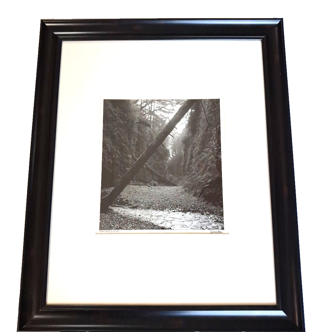 Vintage Richard Blair Art Photo Fern Canyon Orick California Black White Signed