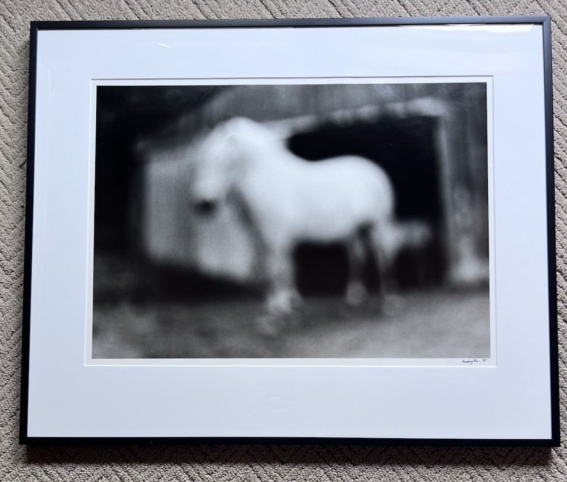 Mary Ludington Signed 1995 Framed Horse Photograph Fine Art B&W Equine 29.5×23.5