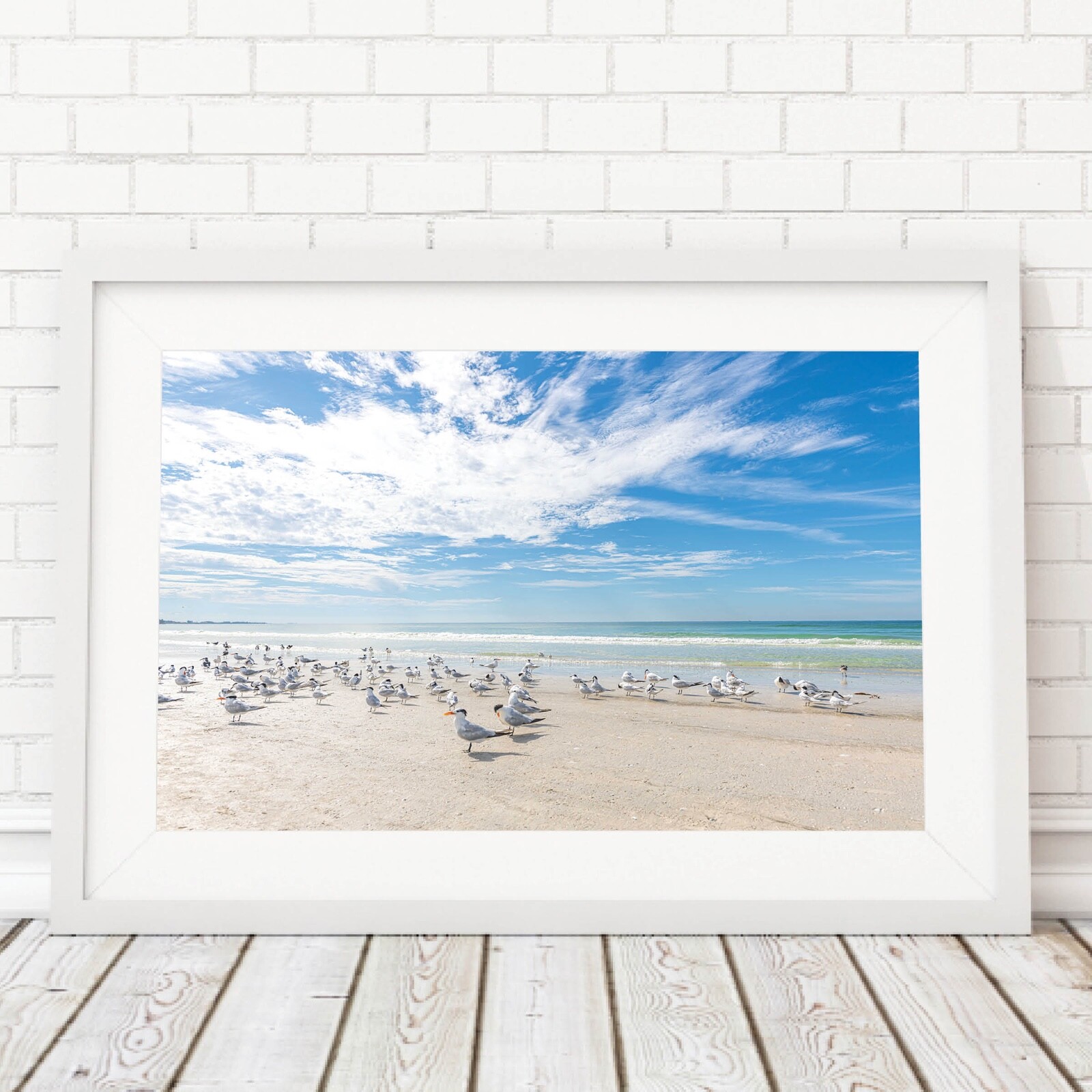 Birds on the Beach Photo, Siesta Key Photography Wall Art Beach House, Wildlife