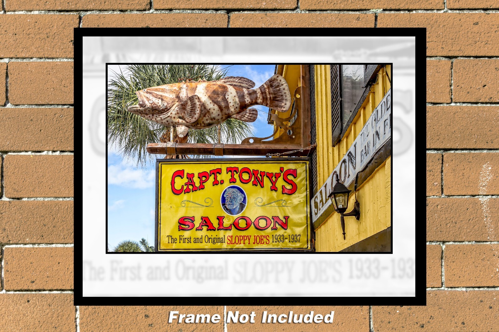 Captain Tony’s Key West 11″ x 14″ Color Photograph (EYW202012260638_11X14)