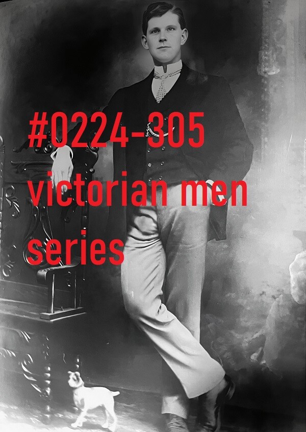 VINTAGE MALE PORTRAIT #0224-305 -victorian men series -free shipping usa