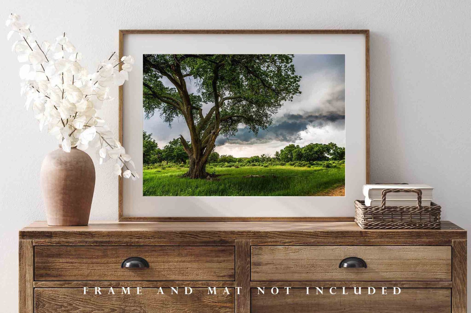 Nature Photography Print – Large Cottonwood Tree and Storm in Texas