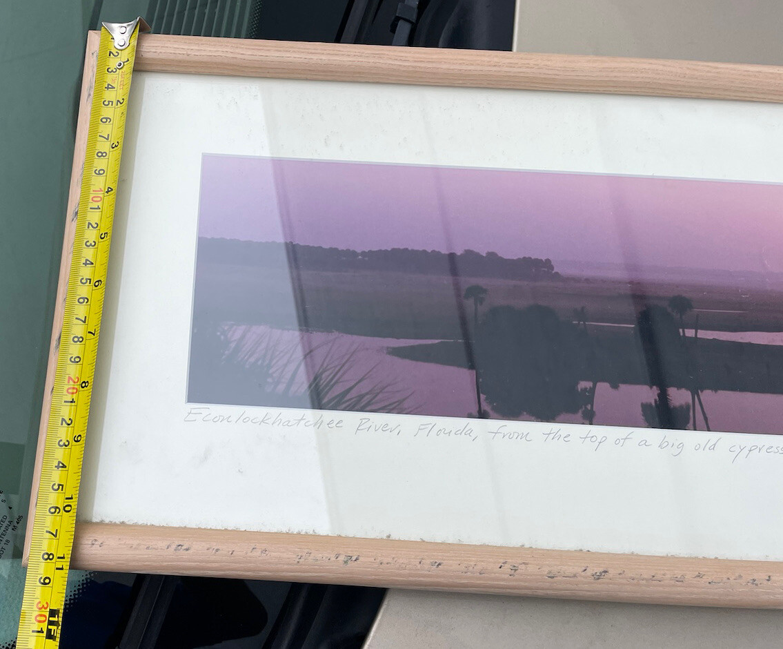 Panoramic Framed ECON Top Econlockhatchee River Florida Steve Vaughn 52:11’