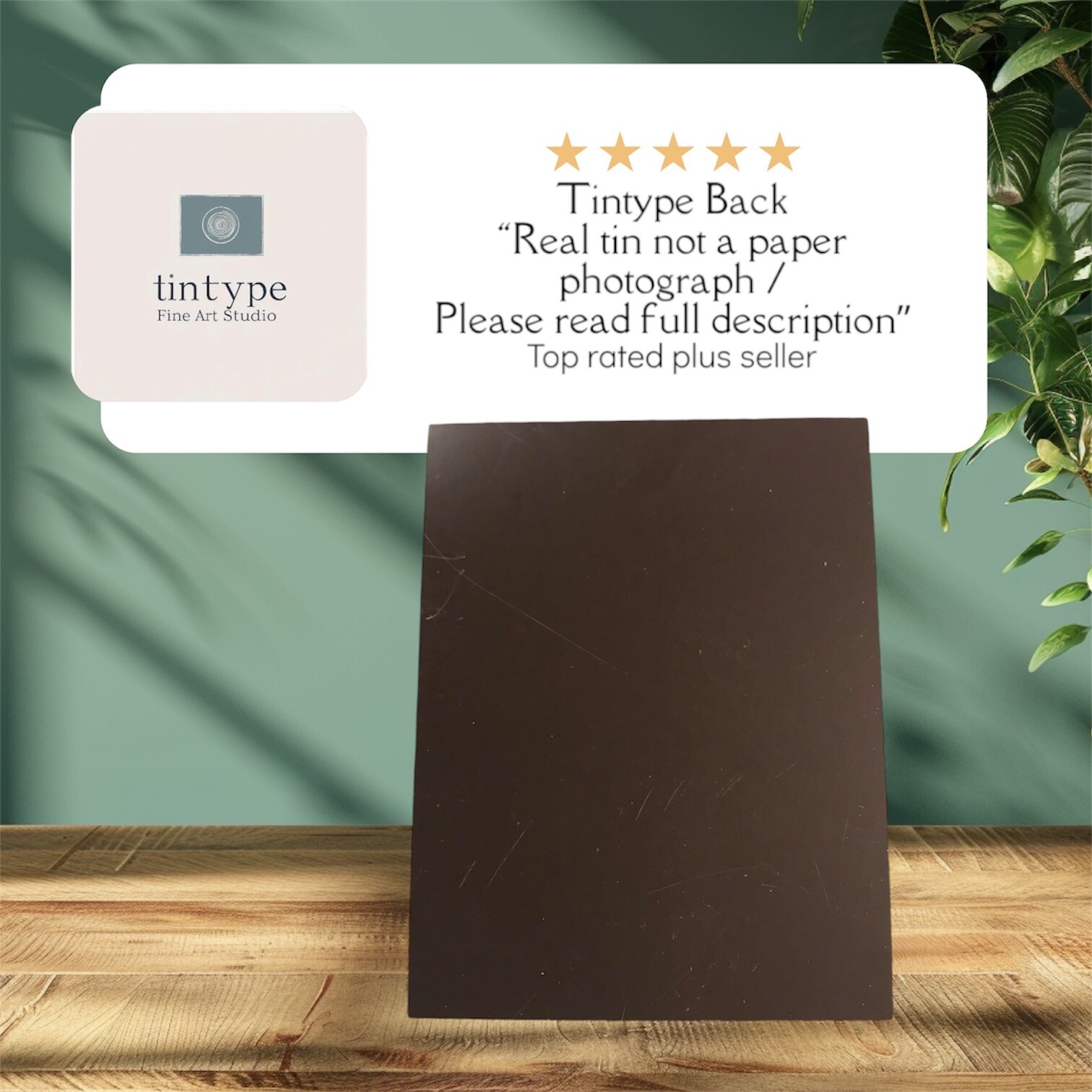 Native American Tintype Limited Edition Museum Series C00220RP