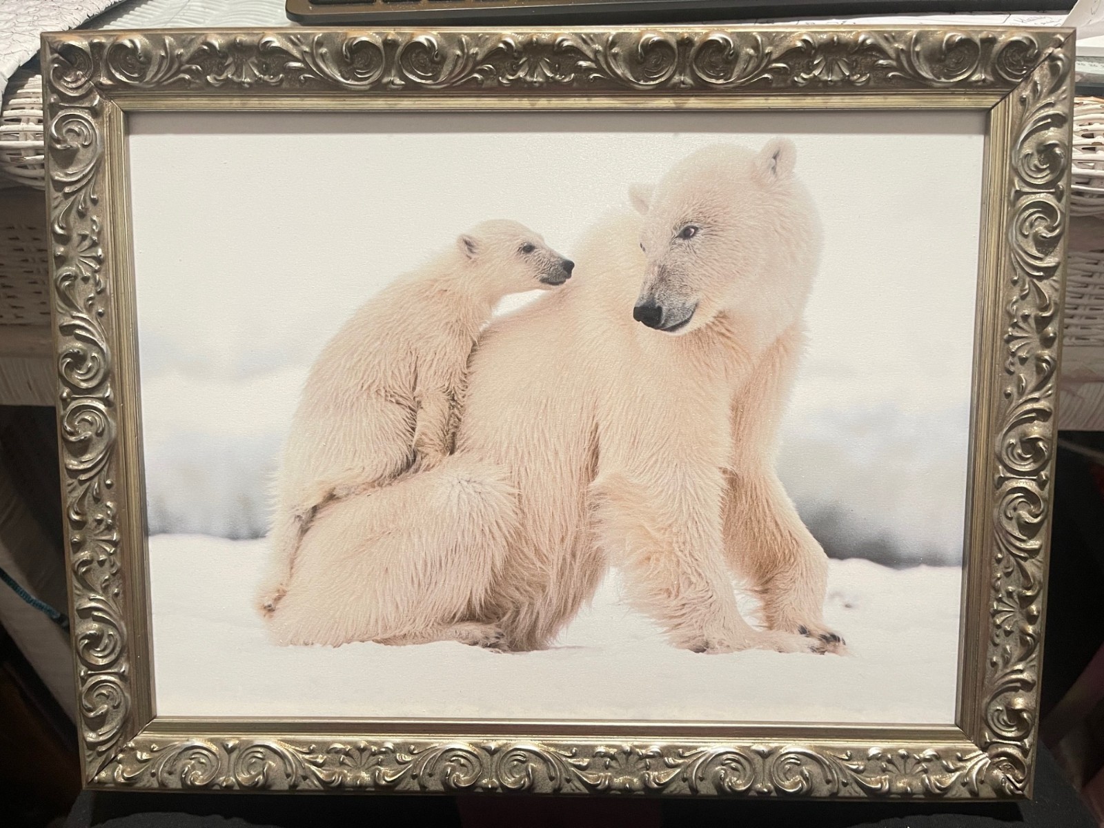 No glass plastic frame Polar Bear with Cub Wall Art 13″Lx10″Hx2″D(K5