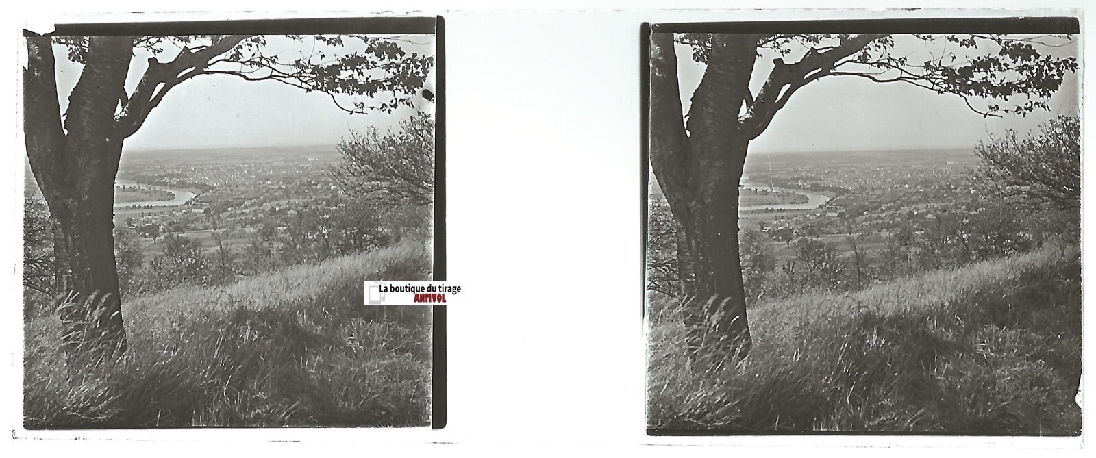 Landscape, River, Glass Photo Stereo Plate, Positive Black & White 4.5×10.7 cm