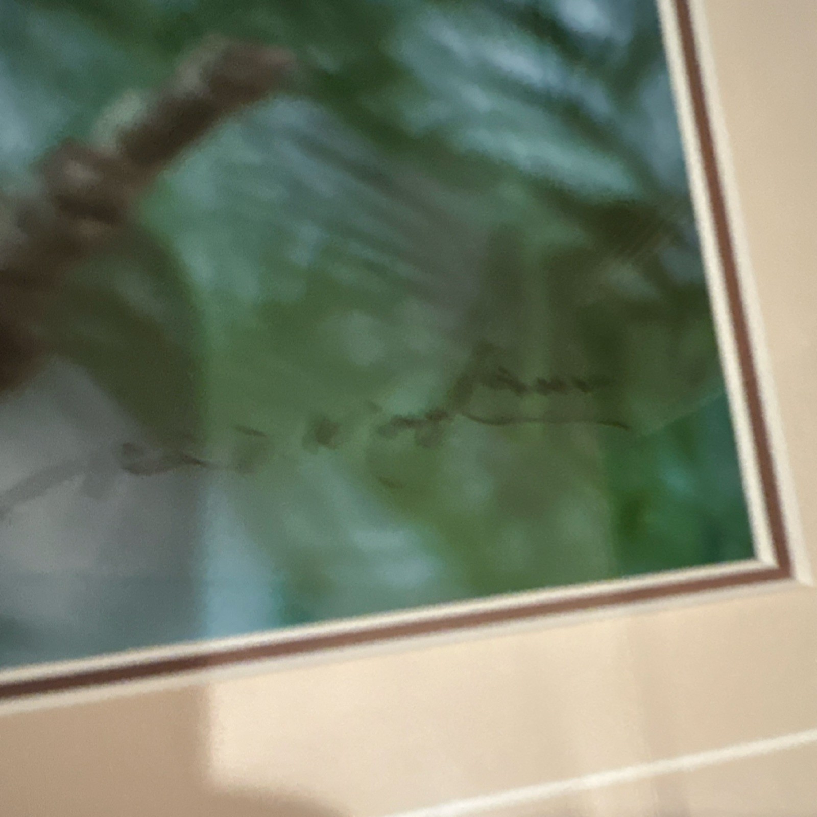 Thomas Mangelsen “Owl” signed numbered framed color photo