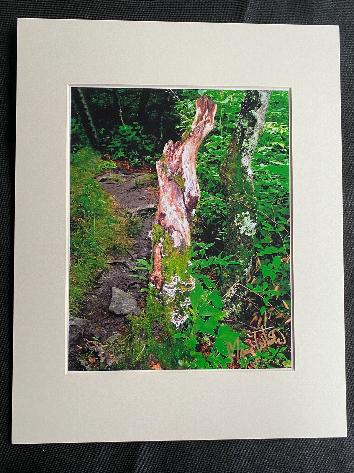11 X 14 Photo in matte – signed by photographer Marie Whitton- HIKING TRAIL