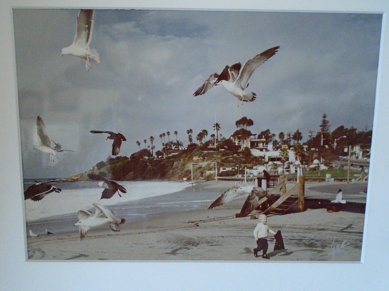 Vtg Original Photo Lang Photography Signed Plus Bonus California Laguna Beach