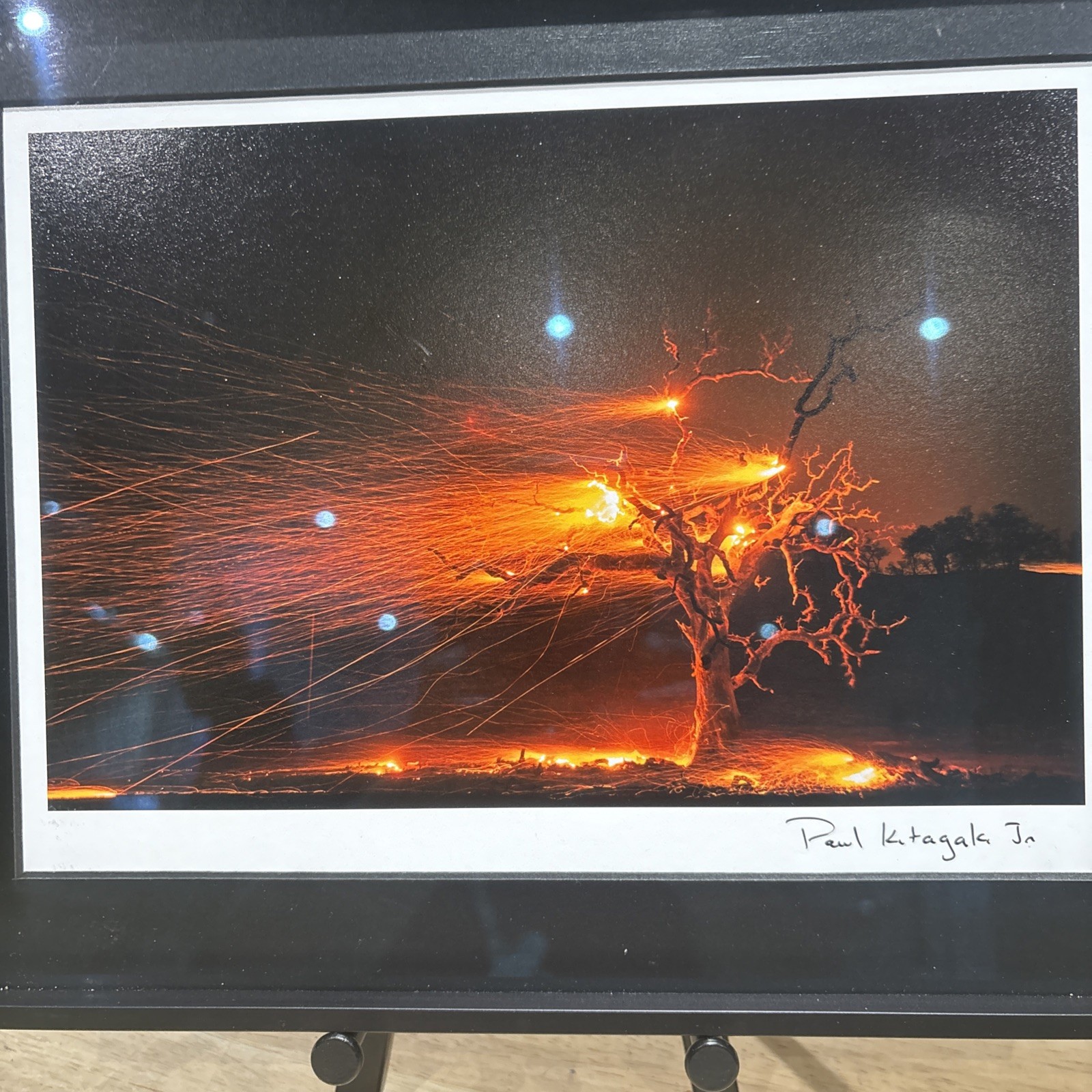 Photograph Print Titled Burning Tree” Signed By Paul Kitagak Jr. F-10”x12.75”