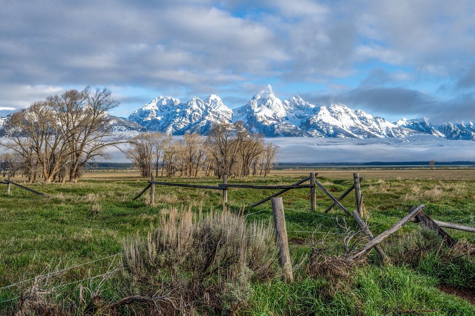 Grand Teton Nation Park Spring of 2022 (15 x 30″ Metal Photo Print)