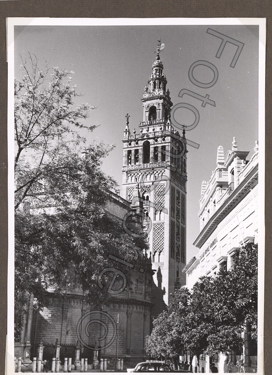 Photo Spain Seville Giralda Cathedral Car Orange Trees 1950s