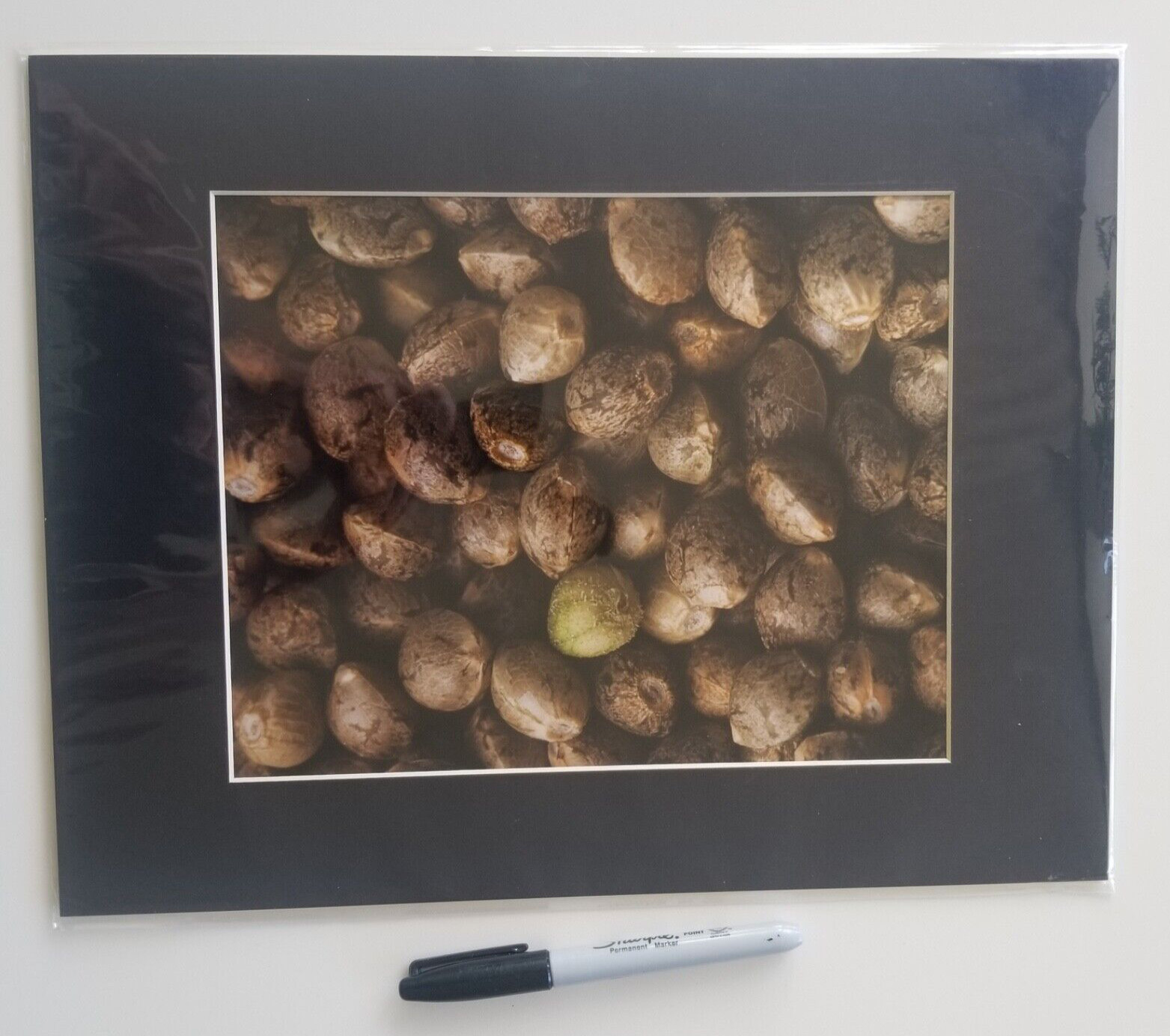 Macro cannabis seeds 12 x 16 matted photo by Kim Sidwell