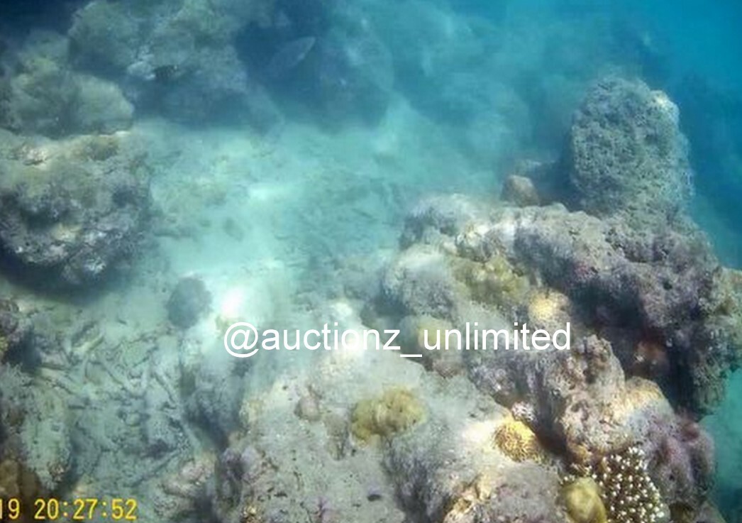Digital Image Picture Photo Pic Andaman India underwater coral life scuba AND017