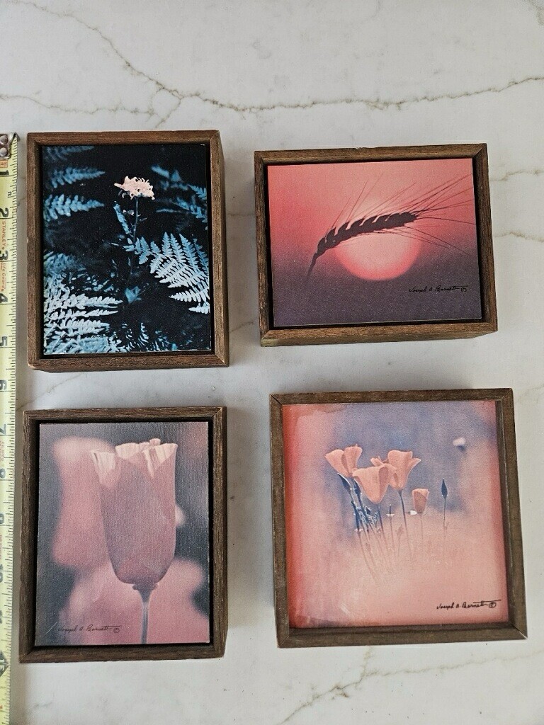 Vtg Set of 4 Joseph A. Barnet Framed Nature Photographs Poppy Flower & Nature