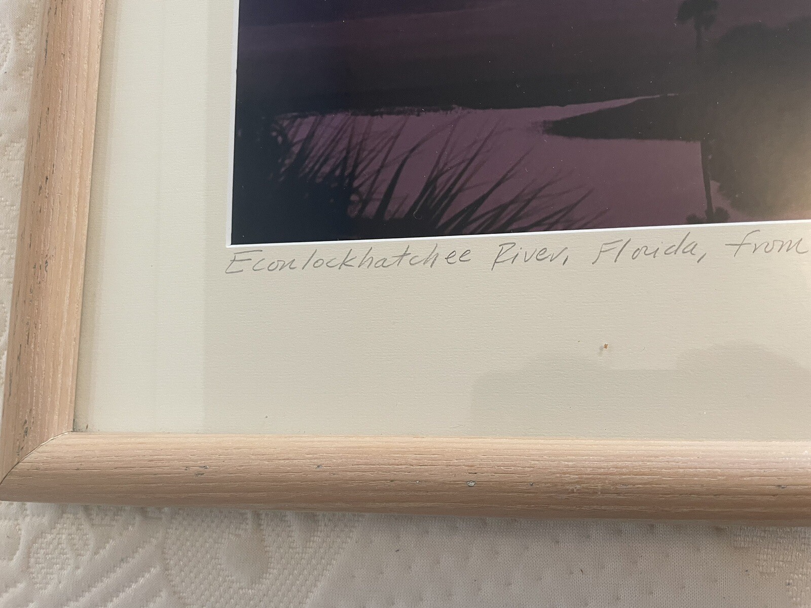 Panoramic Framed ECON Top Econlockhatchee River Florida Steve Vaughn 52:11’