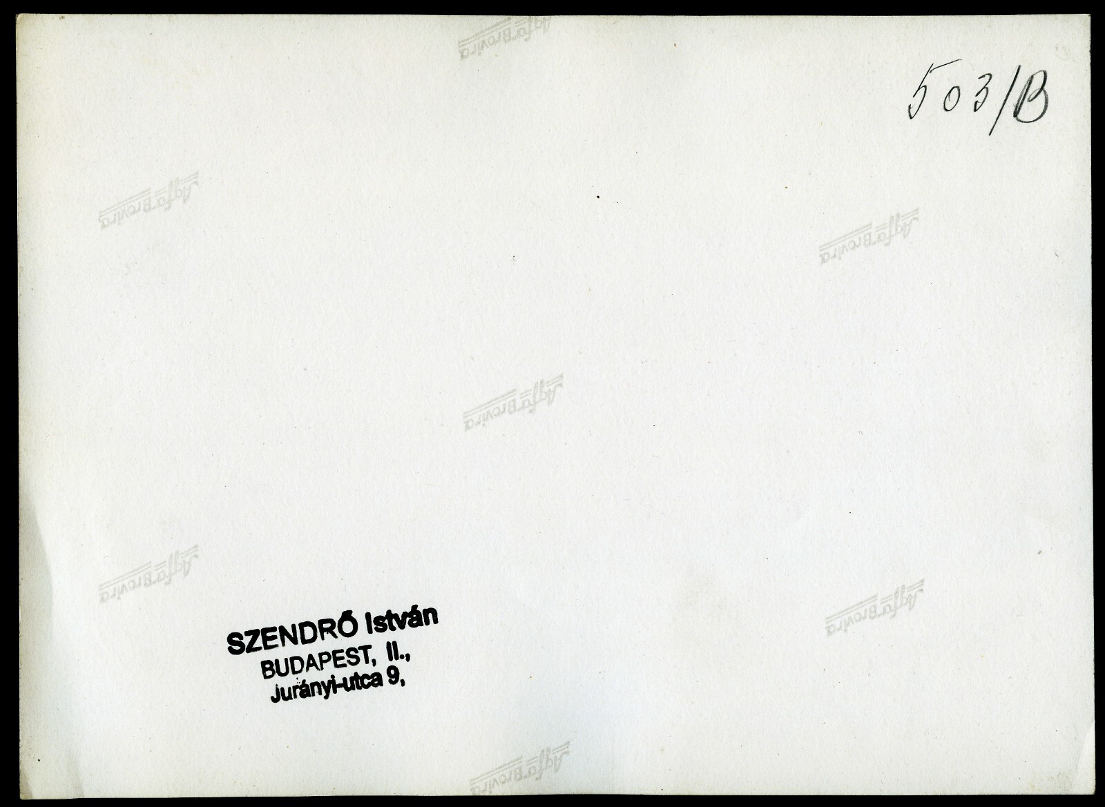 Larger size marked fine art Photograph, 1930’s by SZENDRŐ István, in wind, unus