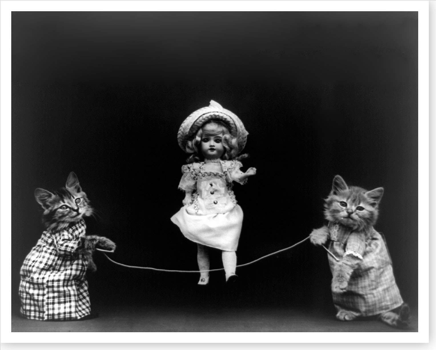 1914 Playtime Cats Kittens Skipping Rope With Doll Silver Halide Photo