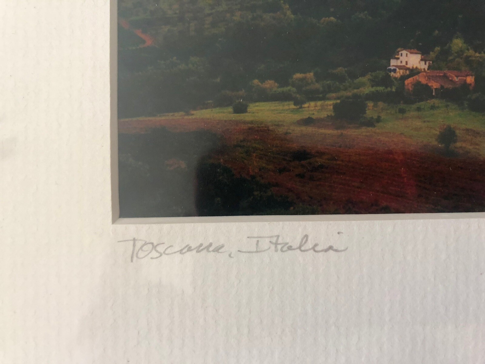 JOHN GALBO NUMBERED PHOTO *E1401
