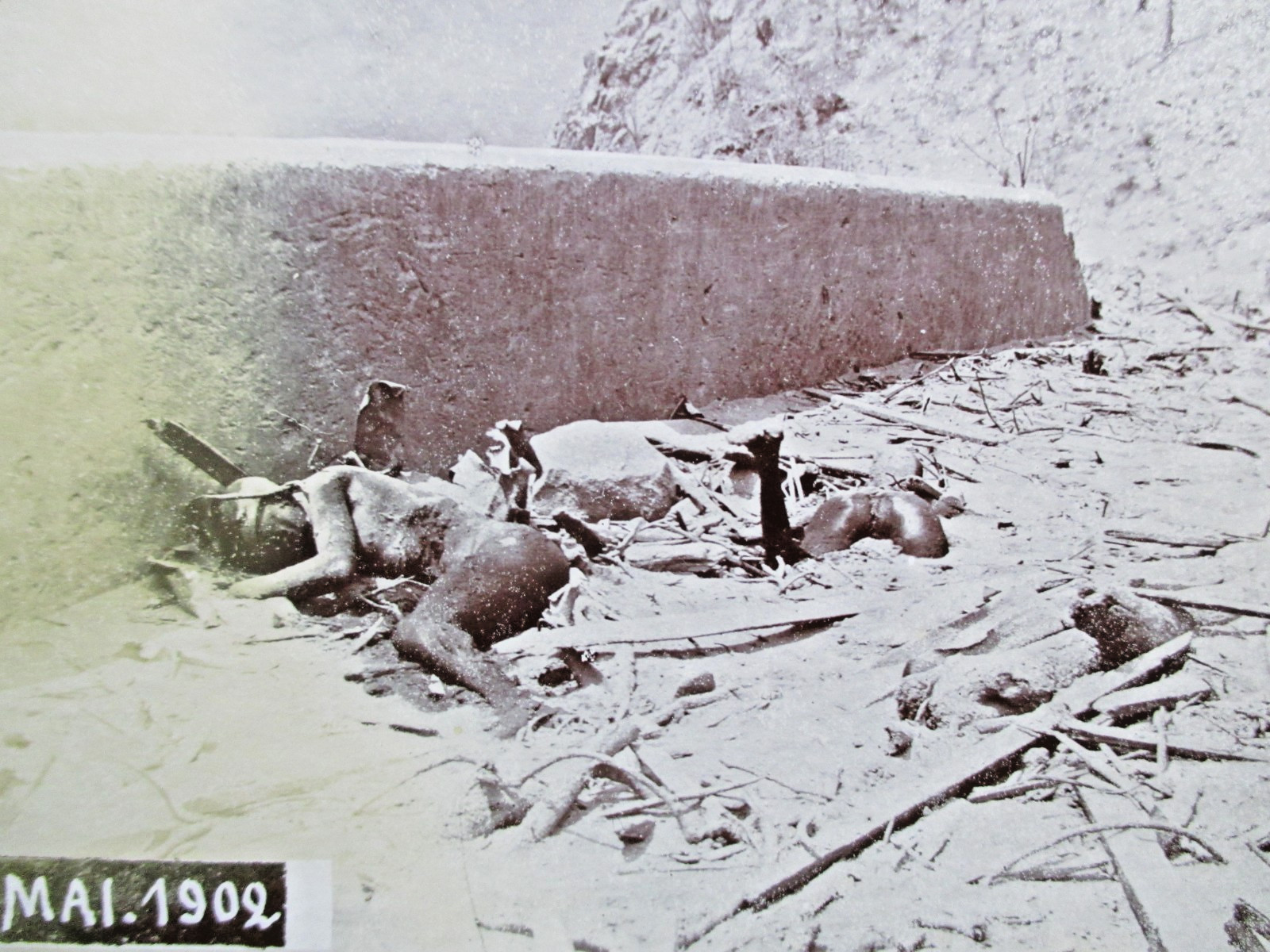 HERITAGE priv. Photo of old time 1902! Dead in volcanic eruption Mont Pelee MARTINIQUE