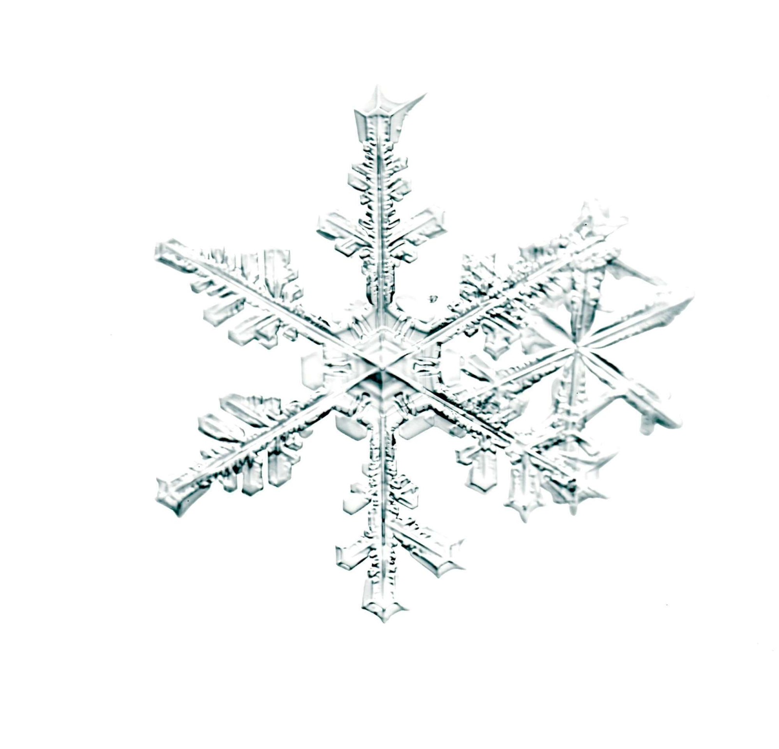 Doug Starn / SNOWFLAKE PRINT SIGNED ALLEVERYTHINGTHATISYOU SNO6_005.1 8 x 8 1st