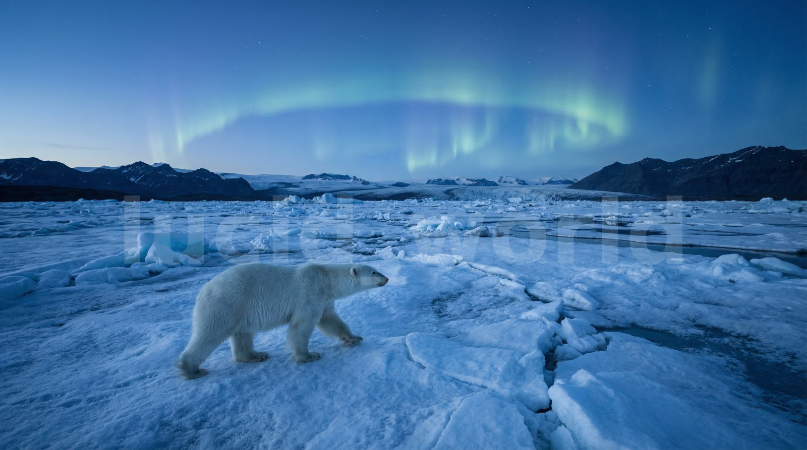 Polar Bear Arctic Northern Lights Digital Download Printable Wall Art Winter PNG