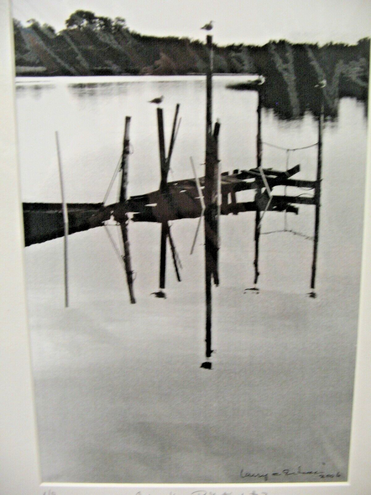 ART PHOTOGRAPHY 16×20 Cedar Key Reflection B&W Matte Acid Free by Larry Santucci