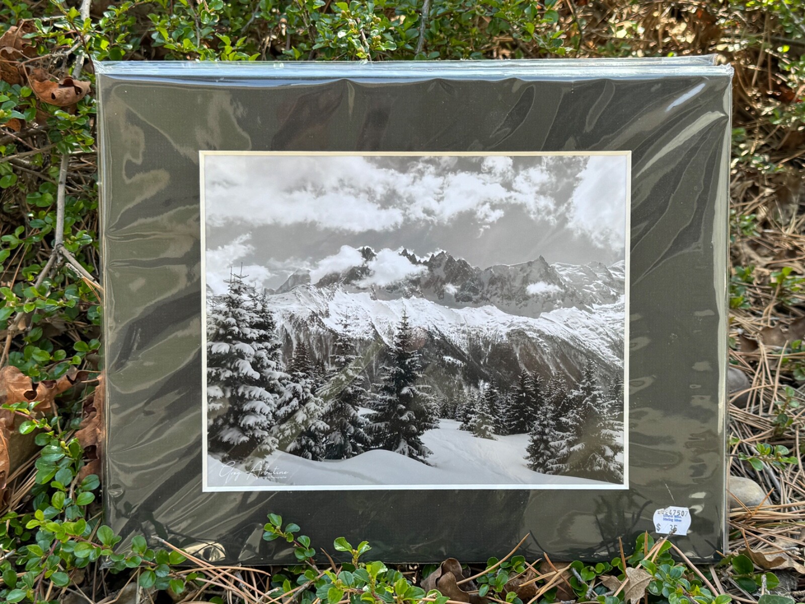 Artist Greg Arbutine 8″x10″ Photograph in 11″x14″ black mat “Chamonix Slopes”