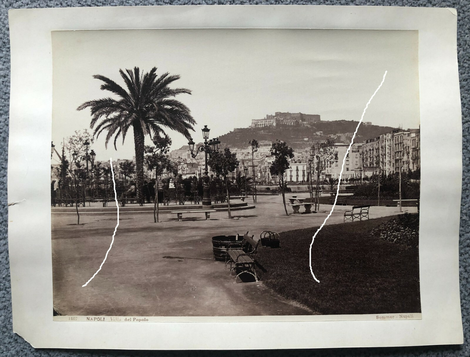 25x19cm album photo of Giorgio summer around 1880 Napoli Villa del Popolo photo