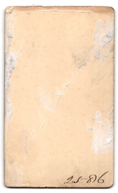 Photograph Paice, Windsor, 17 Thames Street, Portrait of a Lady in Elegant Class