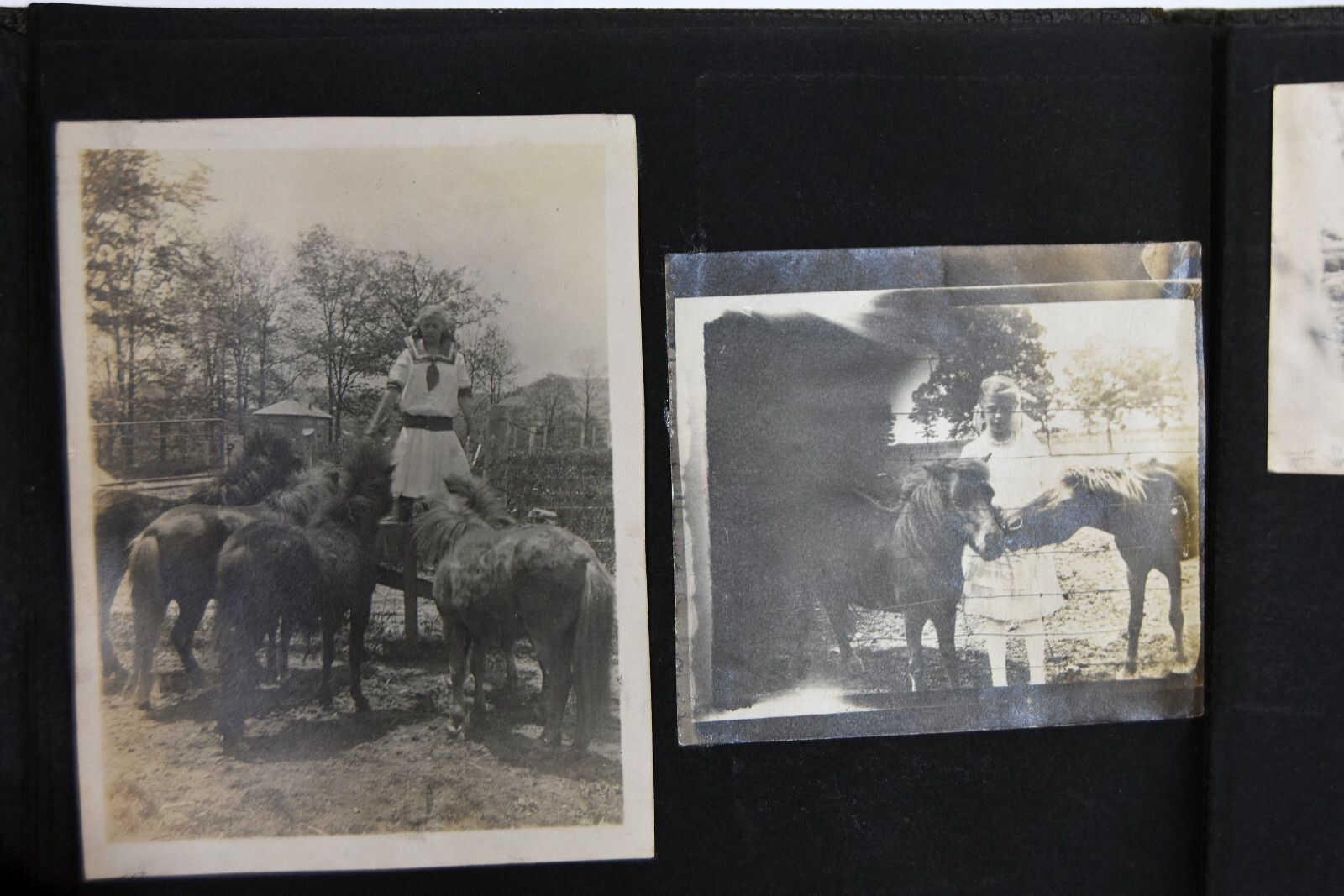 Antique Photo Album PA Conneaut Lake Pennsylvania Nurse Pets Horses Women