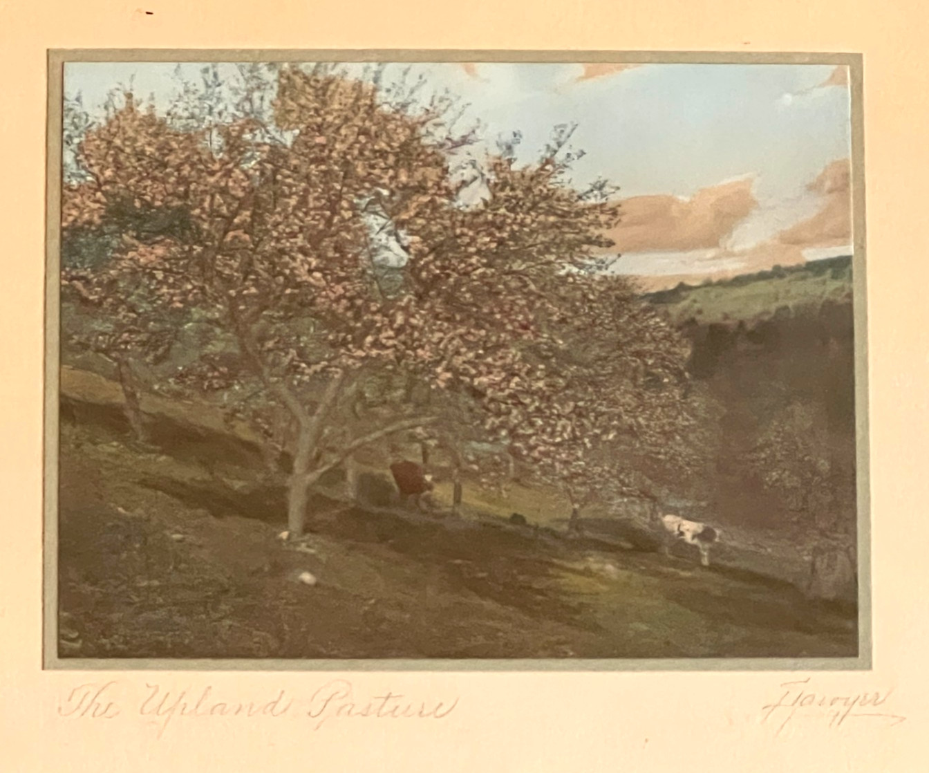 Charles Sawyer “The Upland Pasture” Cows Hand Colored Photo Nutting Peer