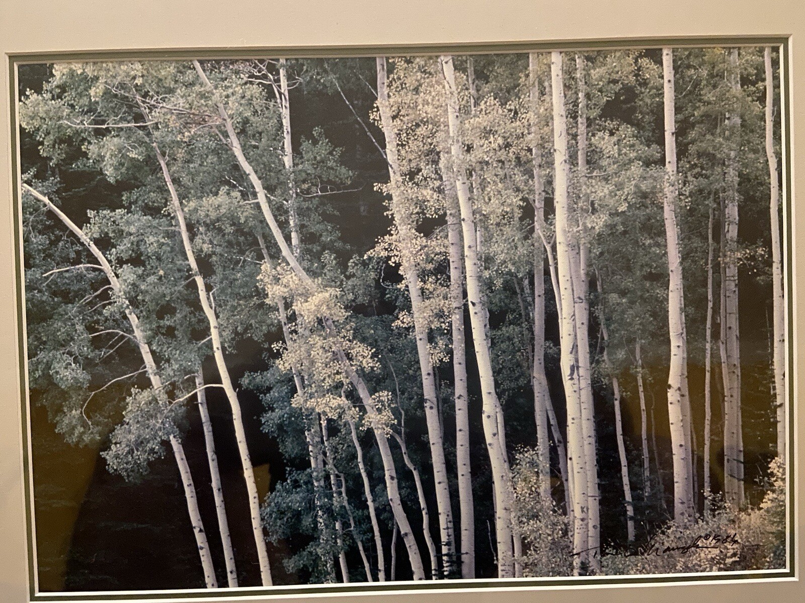 THOMAS D MANGELSEN Original Photograph