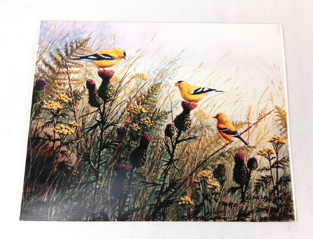 3 VTG Bird Photographs Pictures Signed, Limited Editions Quail Chickadee Nature