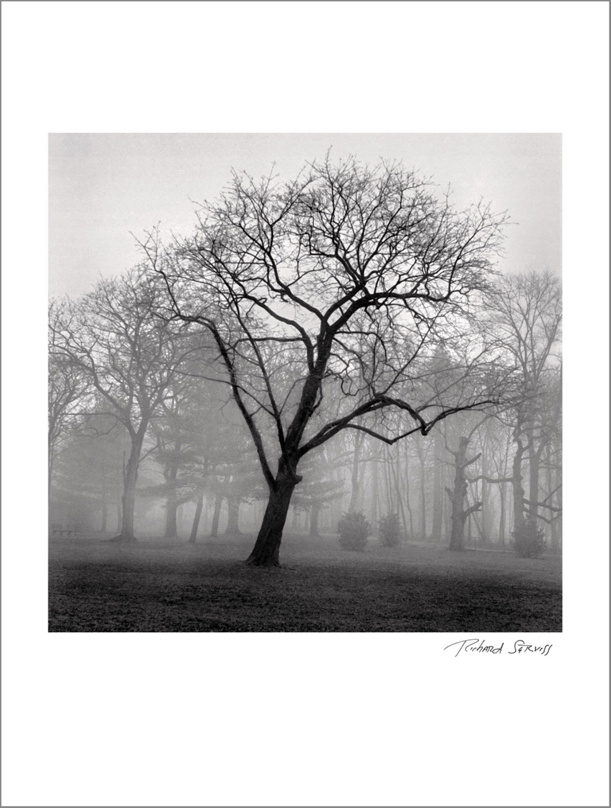 NYC / The Bronx – Van Cortlandt Park – 13×19” – Signed Piezo Print