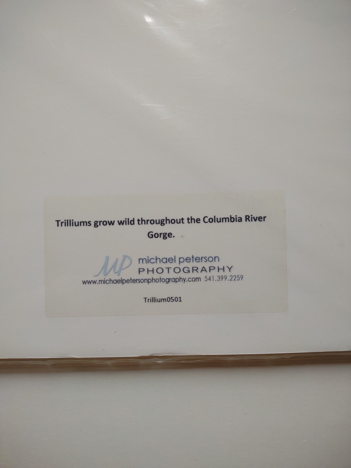 Signed Michael A Peterson Photography Trilliums Flat Mounted Canvas Gatorboard