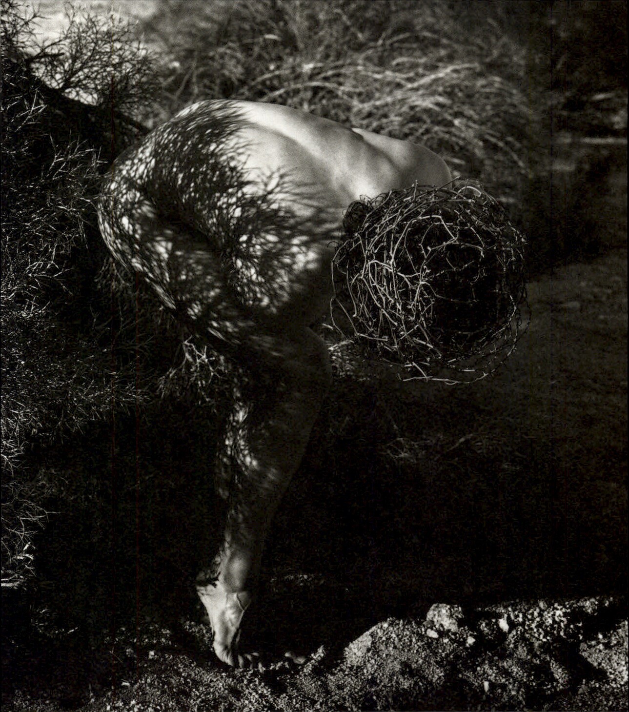 1989 Original HERB RITTS Nude Male Model Thorn Head Gear Art Photo Gravure