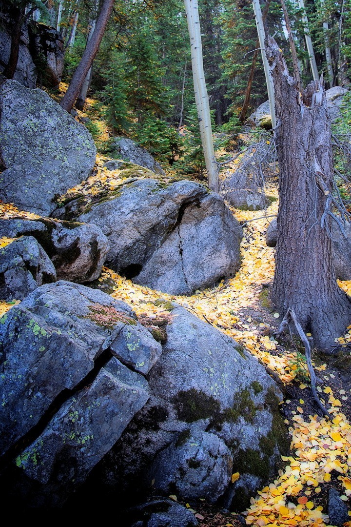 Fine Art Photography, Color print, 10×15, Eldora, Colorado